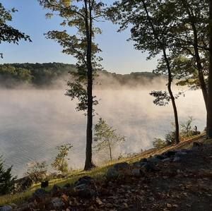 Meet your Posher, Tommie